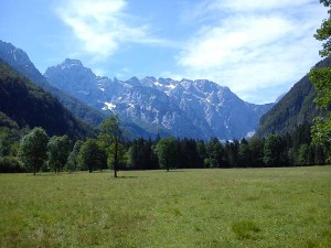 Pogled na Logarsko lipo