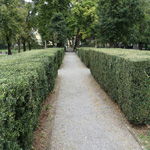 travel-slovenia-mestni-park