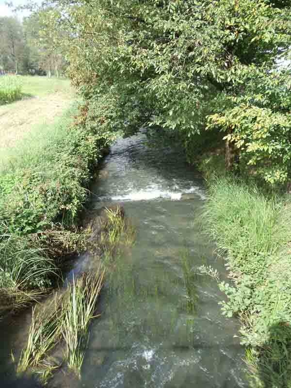 Potok Škofeljščica