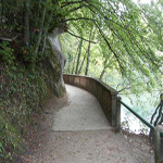 travel-slovenia-bled-sprehajalna-pot-view