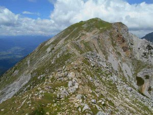 Pogled na Begunjščico