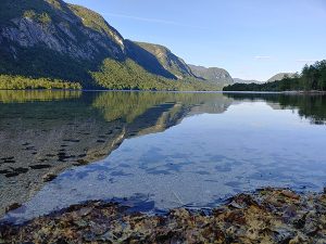 Bohinj lake