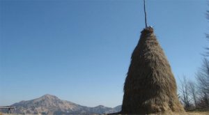 Heap of hay on the top